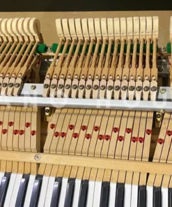 KAWAI KG-1E WH