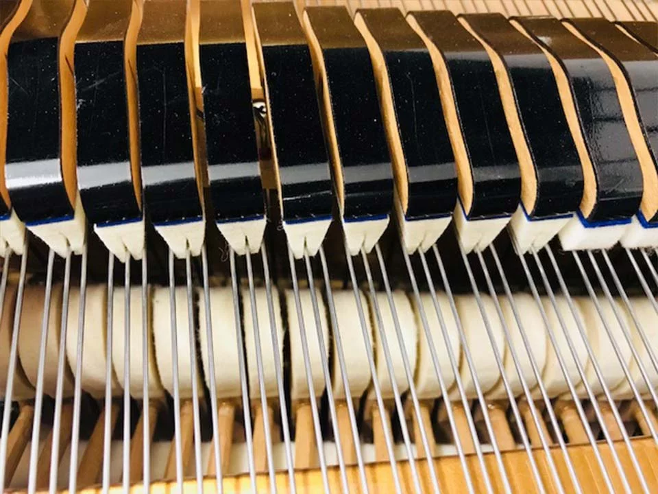 KAWAI KG-2D Walnut - Nah Music