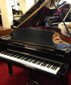 KAWAI KG-2E PM