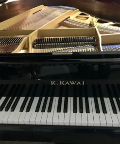 KAWAI KG-2E PM