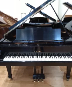 KAWAI KG-2E PM