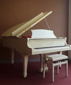 KAWAI KG-2E WH