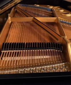 KAWAI KG-6C