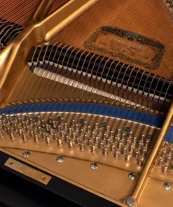KAWAI KG-6C