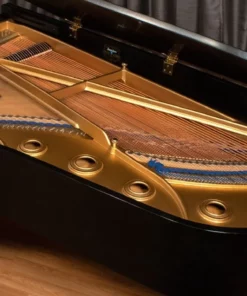 KAWAI KG-6C