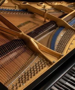 KAWAI KG-6C
