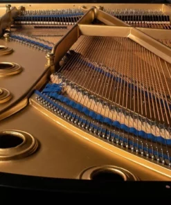 KAWAI KG-6C
