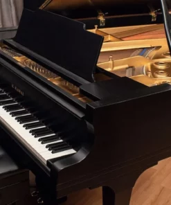 KAWAI KG-6C