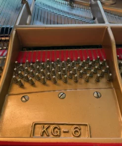 KAWAI KG-6E