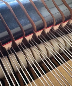 KAWAI KG-6E
