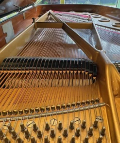 KAWAI KG-6E