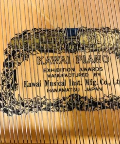 KAWAI KG-2