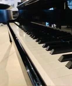 KAWAI KG-2D PE