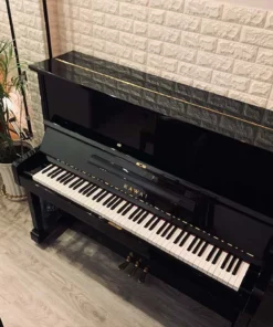 KAWAI KS2F Special