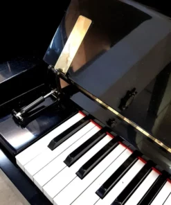 KAWAI KU3D PE