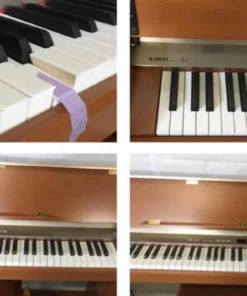 KAWAI L51