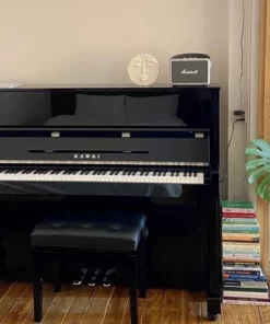 KAWAI ND21