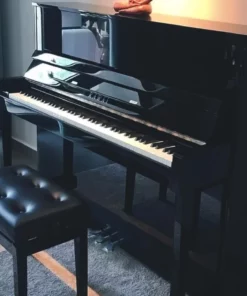KAWAI ND21