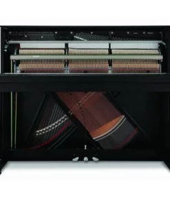 KAWAI ND21