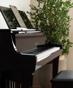 KAWAI NV10 Hybrid (USED)