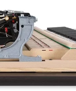 KAWAI NV10 Hybrid
