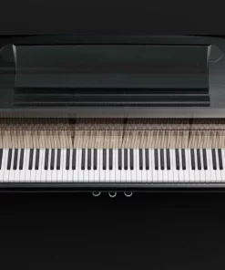 KAWAI NV10 Hybrid