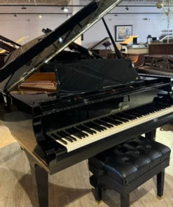 Shigeru Kawai  SK-2