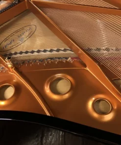 Shigeru Kawai  SK-2