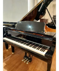 Shigeru Kawai  SK-2