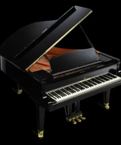 Shigeru Kawai  SK-2