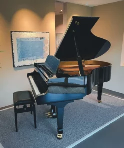 Shigeru Kawai  SK-2