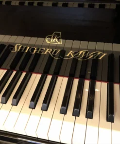 Shigeru Kawai  SK-2