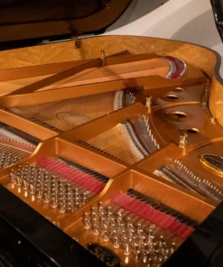 Shigeru Kawai  SK-3