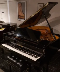 Shigeru Kawai  SK-3