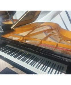 Shigeru Kawai  SK-3