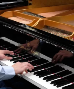 Shigeru Kawai  SK-3
