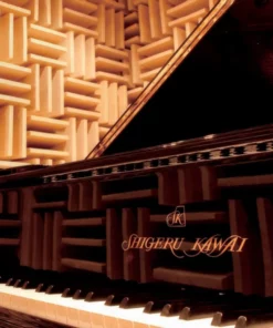 Shigeru Kawai  SK-3