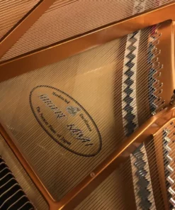 Shigeru Kawai  SK-3