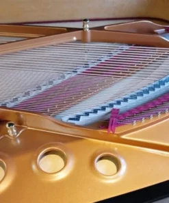 Shigeru Kawai  SK-5