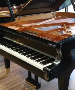Shigeru Kawai  SK-5