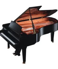 Shigeru Kawai SK-6