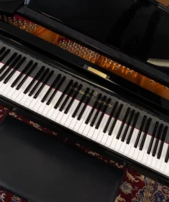 Shigeru Kawai  SK-7