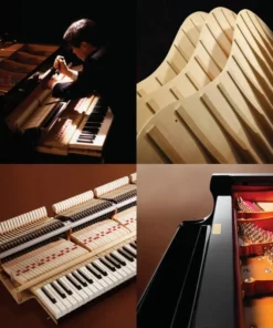 Shigeru Kawai  SK-EX