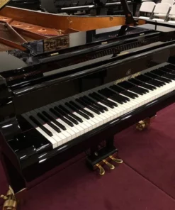 Shigeru Kawai  SK-EX