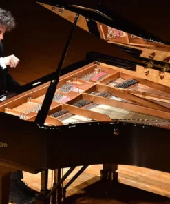 Shigeru Kawai  SK-EX