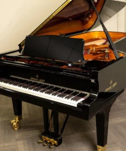 Shigeru Kawai  SK-EX