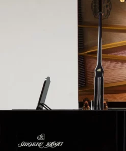 Shigeru Kawai  SK-EX