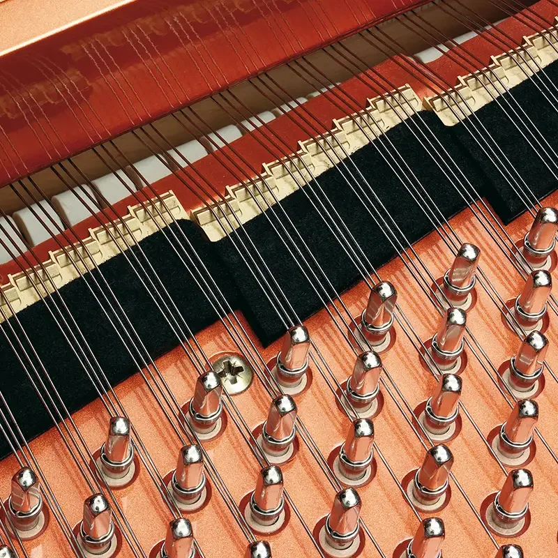 Review Konzert K175 Tradition – Hình ảnh thực tế tại showroom Nah Music
