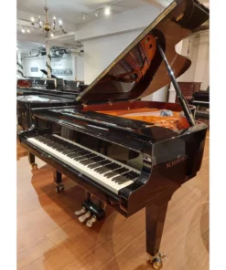 Konzert K219 Tradition