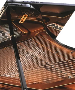 Konzert K219 Tradition